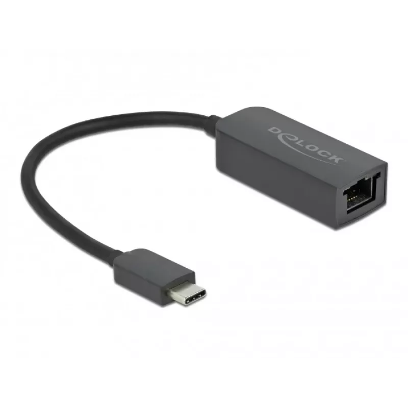 Kompaktowy adapter USB Type-C męski do 2,5 Gigabit LAN DeLOCK 66645