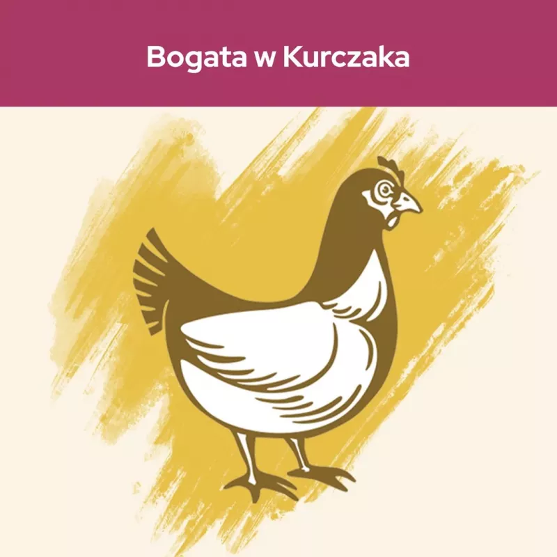 Purina Cat Chow Urinary Tract Health sucha karma dla kotów 1.5 kg Dorosły Kurczak