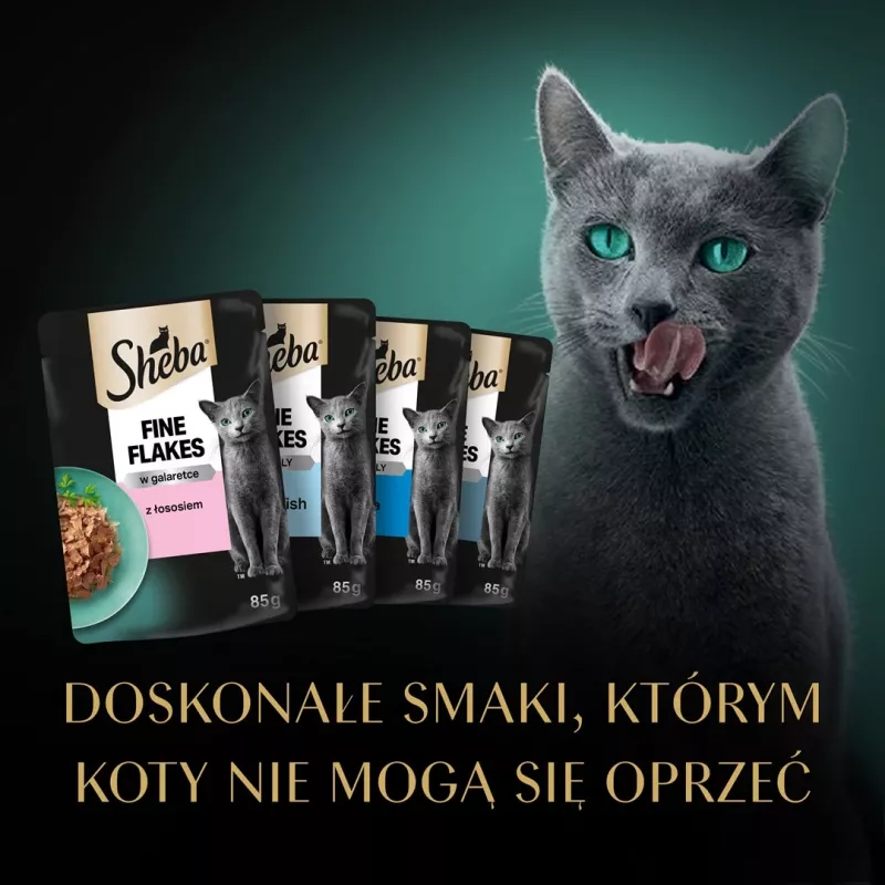 Sheba Delicacy Rybne Smaki w galaretce mokra karma dla kotów, 80 x 85 g