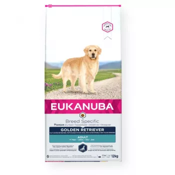 Eukanuba Golden Retriever karma dla psów z kurczakiem, 12 kg