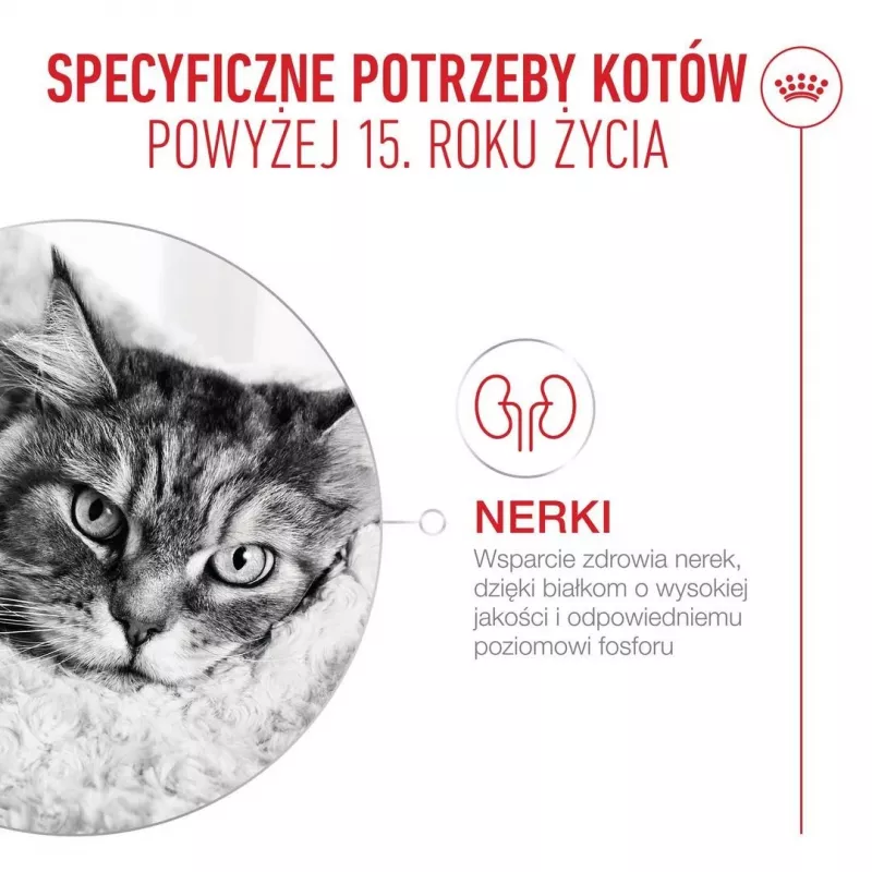 ROYAL CANIN Ageing 15+ - sucha karma dla kota - 4kg