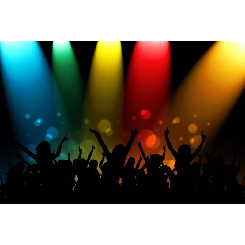 Głośnik przenośny APA24 Bluetooth Karaoke, czarny
