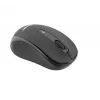 Bezprzewodowa mysz Tellur Basic Mini czarna Interfejs