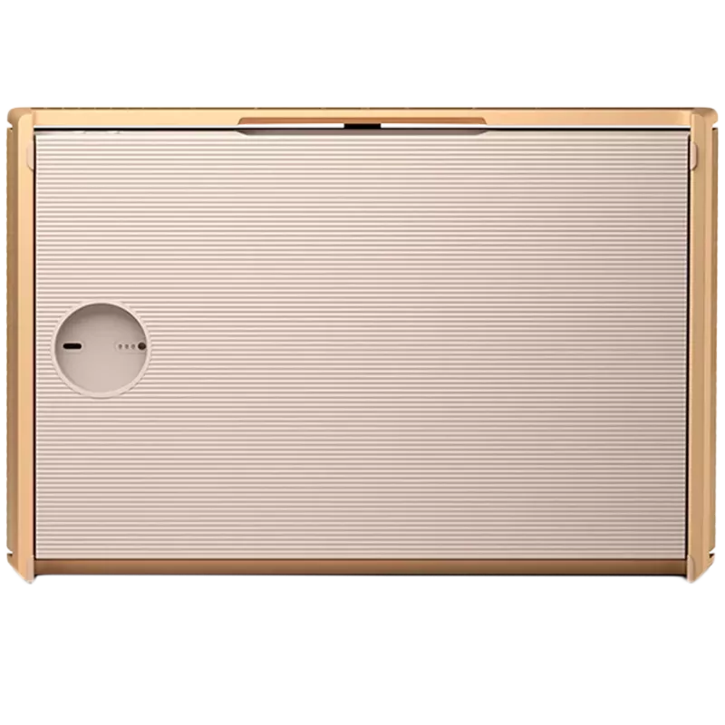 Głośnik Beosound Level w kolorze Gold Tone Alu (pokrywa Light Oak)