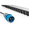 Digitus Basic IT PDU 1-fazowa 16A 24 x C13 3 x C19 kabel 3m