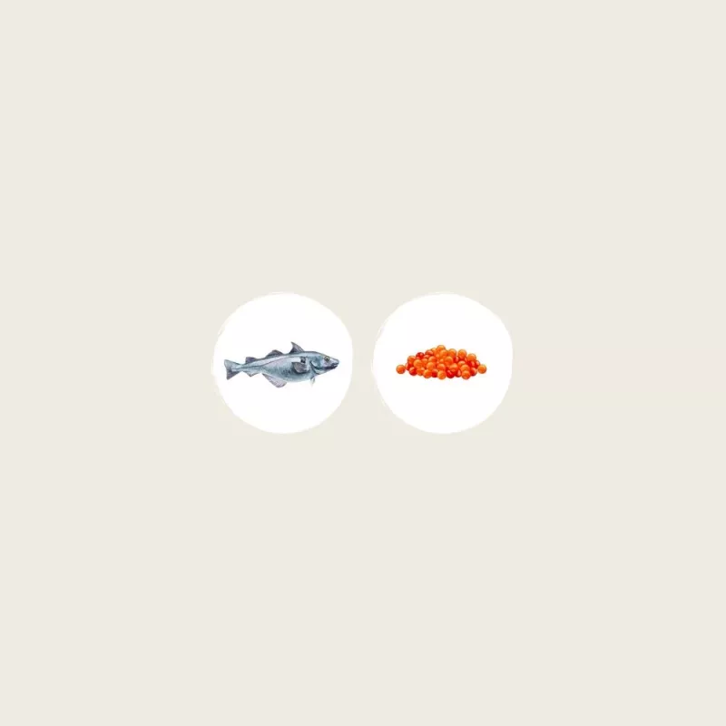 EDEN Biały Fish with Herring Caviar - sucha karma dla kota - 1,5 kg