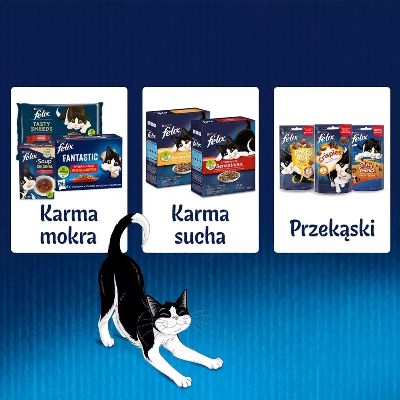 Mokra karma dla kota Felix Sensations Country Flavors w galaretce multipack 24×85 g — mokra karma, 24 saszetki, 85 g każda, wilgotność 82%