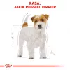 ROYAL CANIN Jack Russell Adult - sucha karma dla psów - 7,5 kg