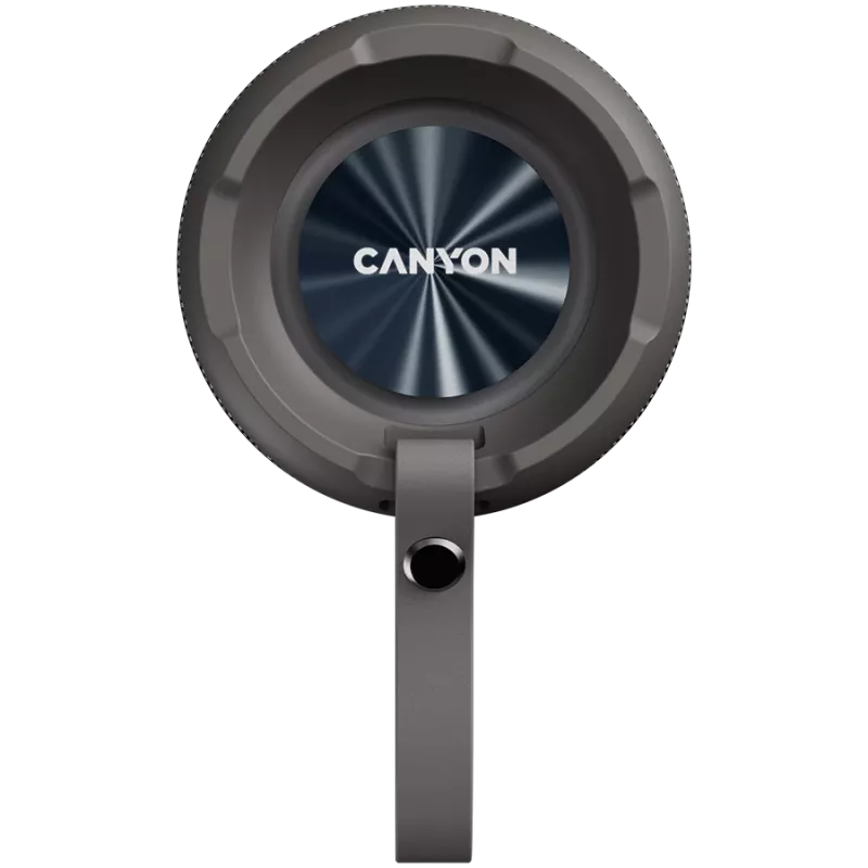 Canyon CNE-CBTSP15BG Głośnik przenośny Beżowy