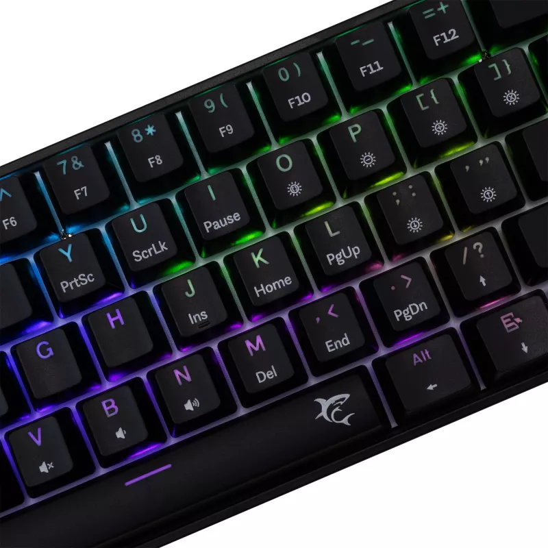 Klawiatura mechaniczna White Shark Shinobi-2 niebieski Switch Czarna układ US