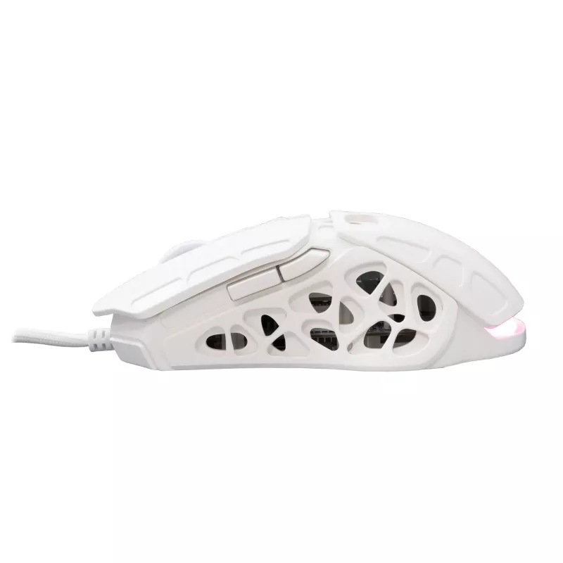 Mysz White Shark GM-5016 Ector Biała USB