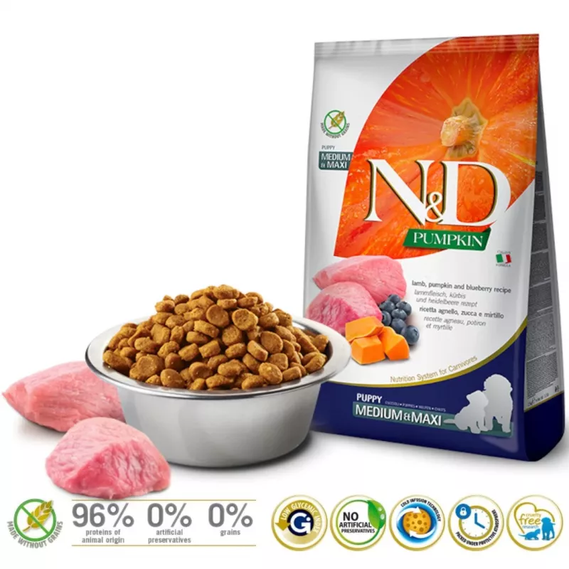 FARMINA N&D GF PUMPKIN DOG LAMB&BLUEBERRY PUPPY MEDIUM/MAXI 12kg