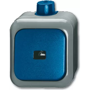 BUSCH JAEGER 2621 WDI - 1P - Zielony - Szary - 250 V - 74 mm - 54 mm - 80 mm