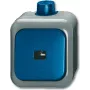 BUSCH JAEGER 2621 WDI - 1P - Zielony - Szary - 250 V - 74 mm - 54 mm - 80 mm
