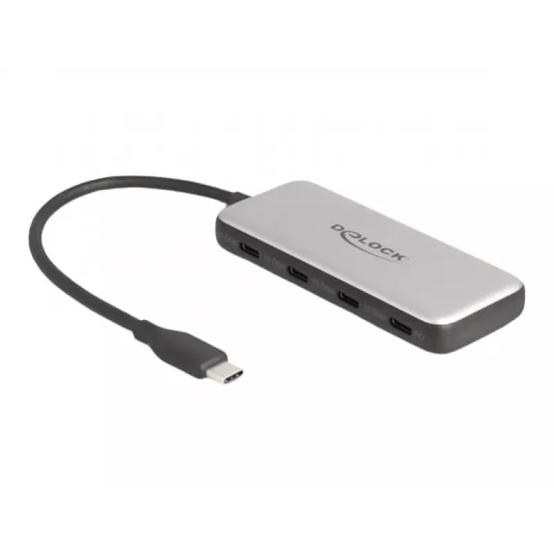 DeLOCK 64261 USB 3.2 Gen 1 Type-C Hub 10000 Mbit/s Czarny Szary