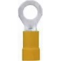 Lapp 63104080 Czerwony