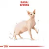 Sucha karma dla kota Royal Canin Sphynx Adult 2 kg — smak wieprzowiny, 33% białka, 23% tłuszczu