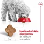 Sucha karma dla psów Royal Canin Mini Adult 8+ 2 kg — rasy małe 5–10 kg, drób, formuła kontroli wagi