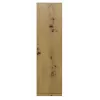 Topeshop SD-50 ARTISAN KPL bedroom wardrobe/closet 5 shelves 1 drzwi(s) dąb