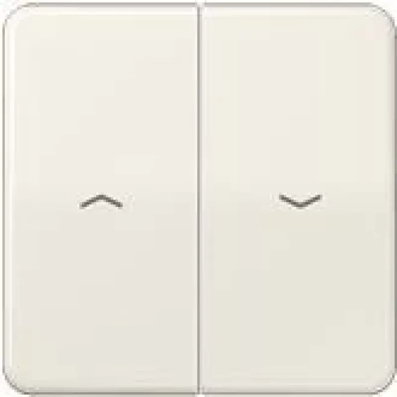 Urządzenie sieciowe Jung CD595PPT