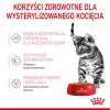 Mokra karma dla kota Royal Canin Sterilised Gravy, 12 x 85 g saszetek — kurczak, dla kastrowanych/wysterylizowanych kociąt, 11% białka, 80,5% wilgotności