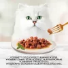 Purina karma mokra dla kotów 85 g