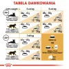 Sucha karma dla kota Royal Canin Bengal Adult 2 kg — drób, 40% białka, 18% tłuszczu, pielęgnacja układu pokarmowego i skóry