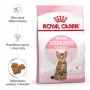 Sucha karma dla kota Royal Canin Kitten Sterilised 3,5 kg — drób, 34% białka, 12% tłuszczu