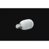 Razer Aether Smart-Gluehbirne E27 - RGB-LED-Gluehbirne do inteligentnego domu (RZ43-04250200-R3GC)