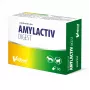 VETFOOD Amylactiv digest dla psów i kotów 30 kapsułek