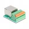 DeLOCK 90652 adapter kablowy RJ45 8-pinowy blok zaciskowy Zielony Srebrny