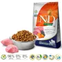 FARMINA N&D Pumpkin Lamb&Blueberry Adult Medium & Maxi - sucha karma dla psów - 12kg