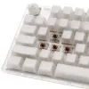 Ducky One 3 TKL klawiatura Gaming USB QWERTY Angielska Biała