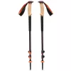 Czarny Diamond Trail Cork Trekking Poles Fig