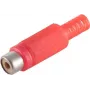 Złącze przewodowe RCA czerwone ShiverPeaks BS51500-R