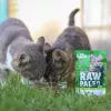 Mokra karma dla kota VETEXPERT RAW PALEO Adult Sterilised Game 100 g — dziczyzna, bezzbożowa, dla skłonności do nadwagi