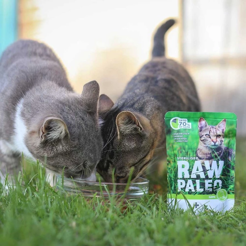 Mokra karma dla kota VETEXPERT RAW PALEO Adult Sterilised Game 100 g — dziczyzna, bezzbożowa, dla skłonności do nadwagi
