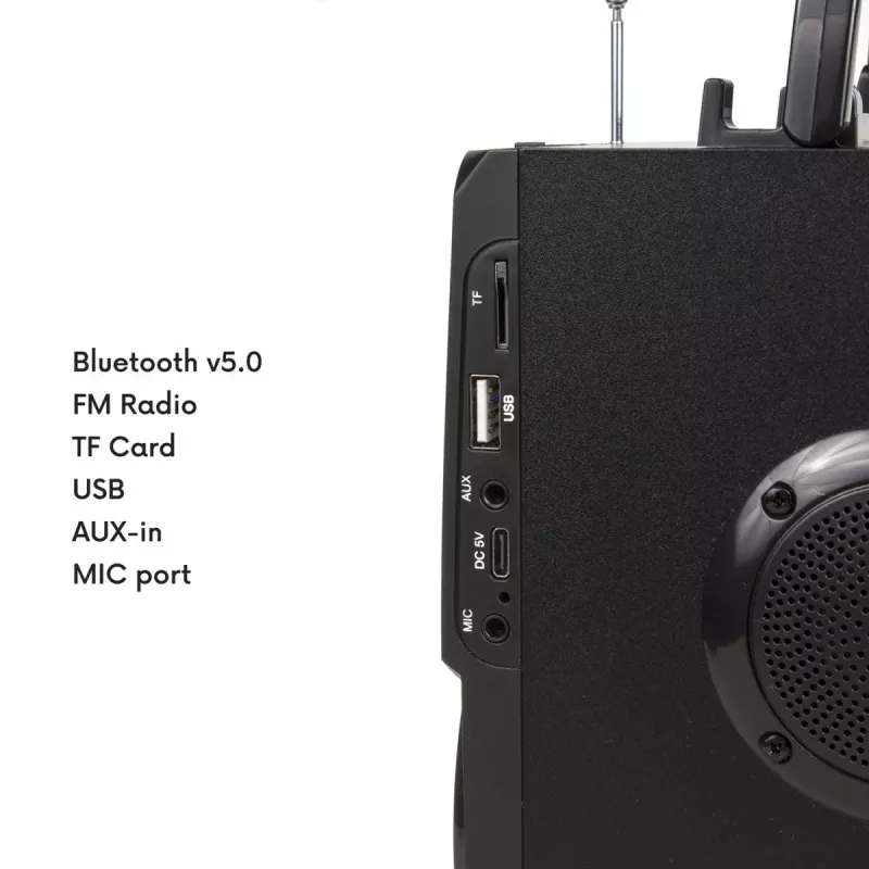 Głośnik Bluetooth Audiocore AC730, czarny