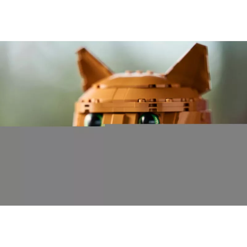 LEGO IDEAS 21376 pomarańczowy Cat