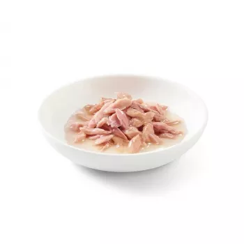 SCHESIR w wodzie do gotowania Tuńczyk - mokra karma dla kota - 6 x 50 g