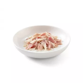 SCHESIR w galarecie Tuńczyk i kurczak z szynką - mokra karma dla kota - 50 g