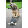 Longboard Muuwmi Lights GLOW ABEC 7 z podświetlanymi kółkami, czarny/zielony