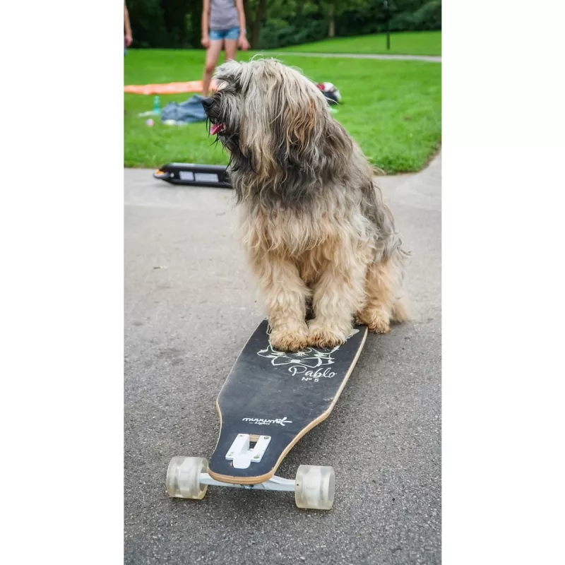 Longboard Muuwmi Lights GLOW ABEC 7 z podświetlanymi kółkami, czarny/zielony