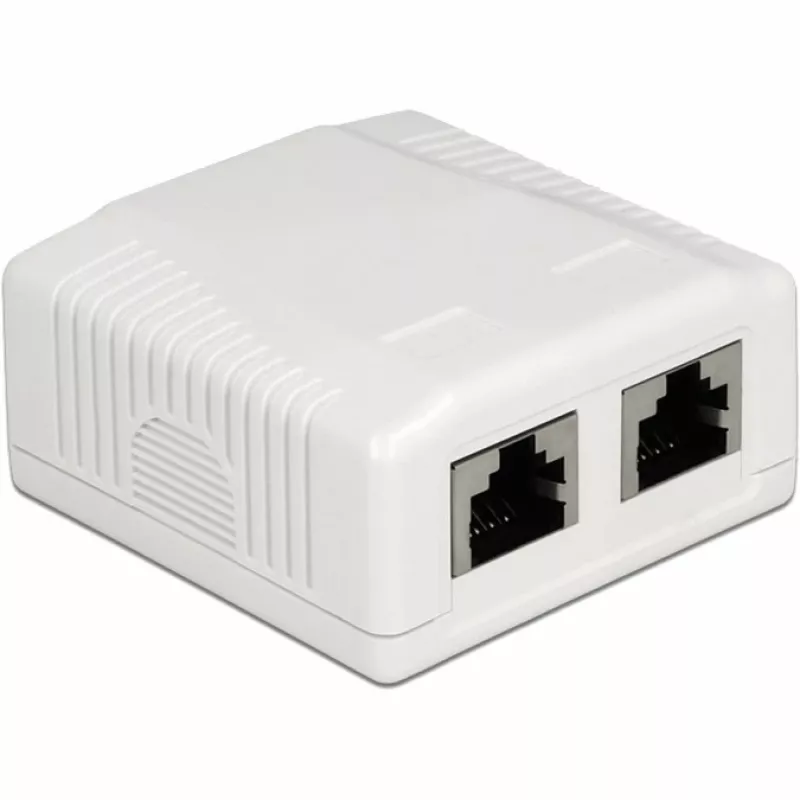 Gniazdo natynkowe 2 x RJ-45 DeLOCK 86197