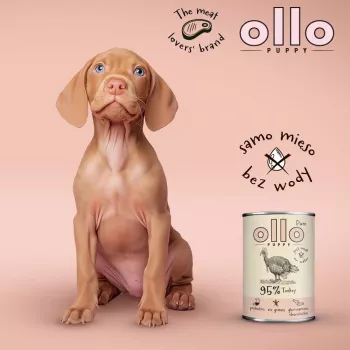 OLLO Puppy Pure Turkey - mokra karma dla psów - 400 g