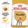 Sucha karma dla psa Royal Canin Poodle Adult 1,5 kg — kurczak, 30% białka, 19% tłuszczu