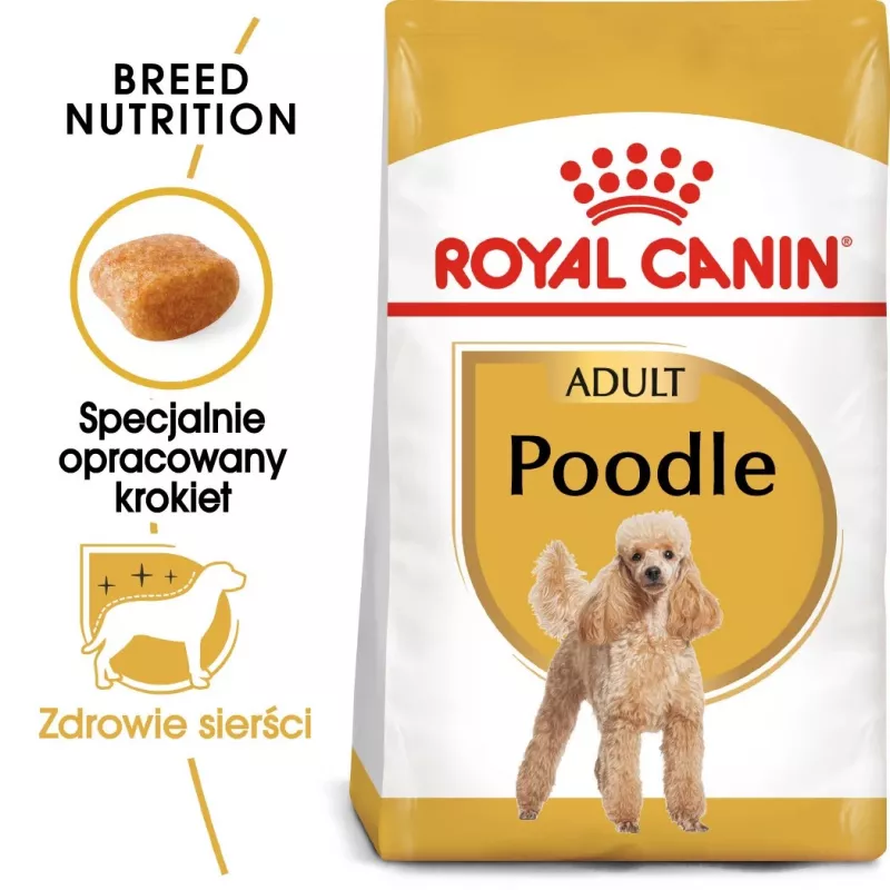 Sucha karma dla psa Royal Canin Poodle Adult 1,5 kg — kurczak, 30% białka, 19% tłuszczu