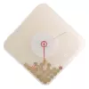 Zegar NeXtime 3006 Coins, 35x35 cm, ścienny, przezroczysty