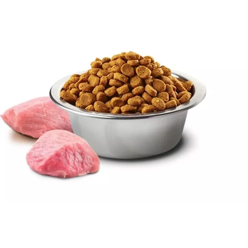Farmina Pet Food sucha karma dla psów 2.5 g Adult Chicken