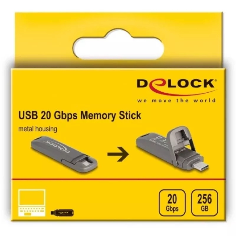 Pendrive DeLOCK 54012 256 GB USB Type-C szary